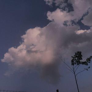 黄色国产三级片
